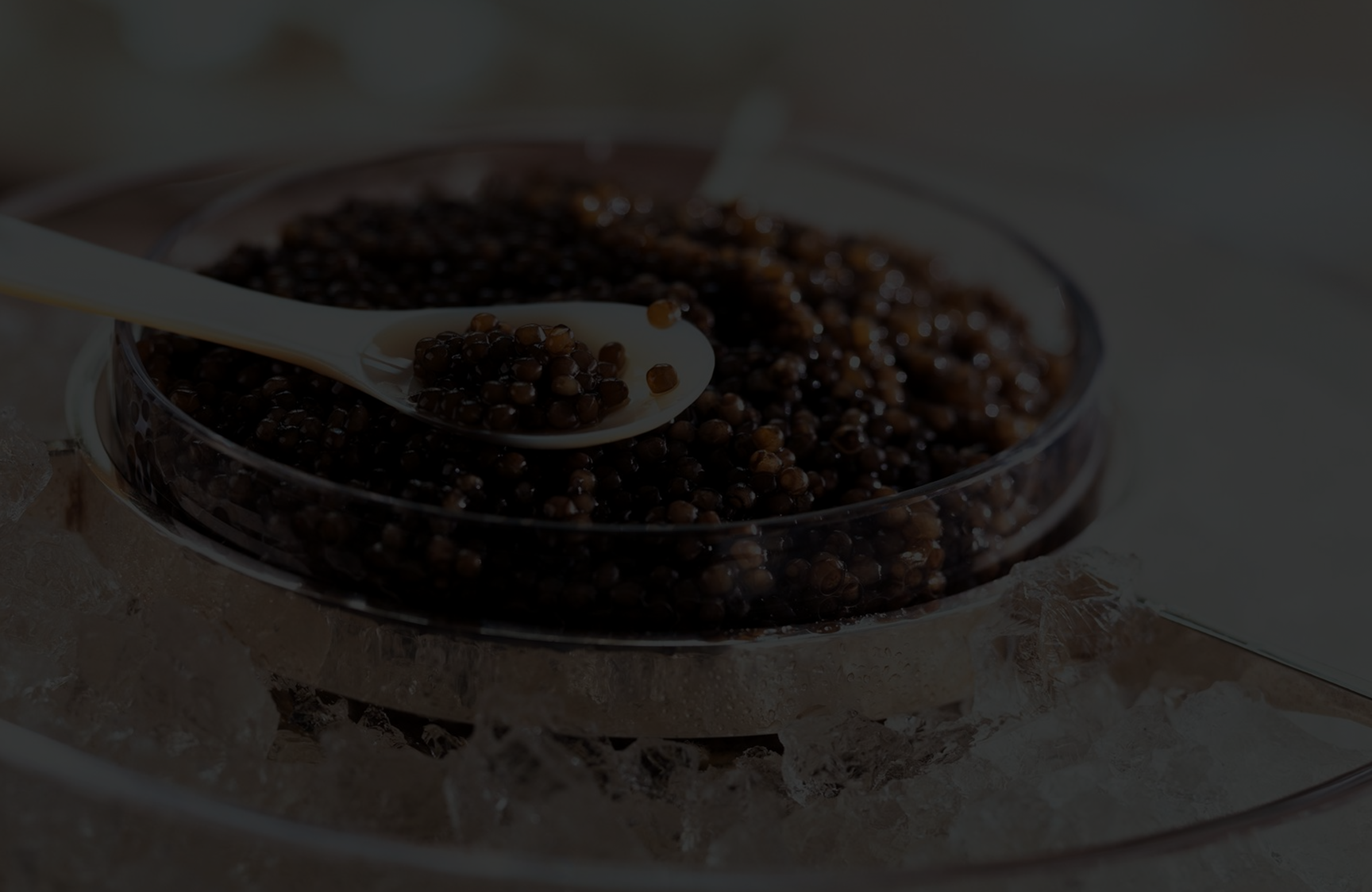 Caviar Zafira
